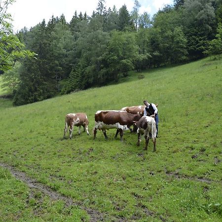 Panoramapension Lerchner Бад Клайнкирххайм Екстериор снимка
